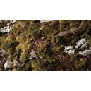 Dark Green Shrubs 