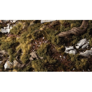 Dark Green Shrubs