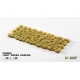 Light Green Shrubs
