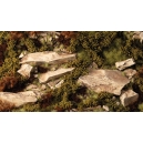 Dry Green Shrubs