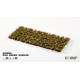 Dry Green Shrubs