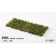 Strong Green Shrubs