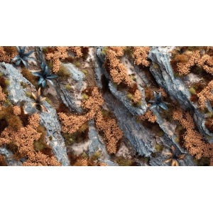 Autumn Shrubs