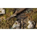 Swamp Shrubs