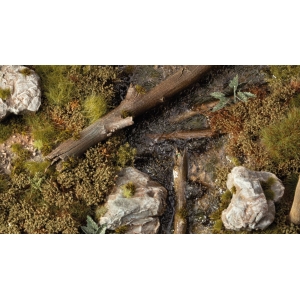 Swamp Shrubs