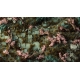 Cherry Blossom Flowers (6mm)