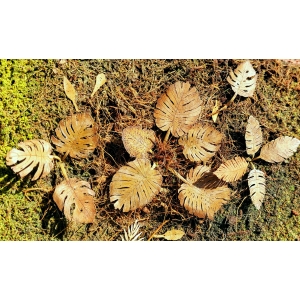 Photo Découpe Papier Plantes Jungle séchées 1:35
