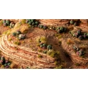 Cactus barils (Barrel Cacti Basing Bits)