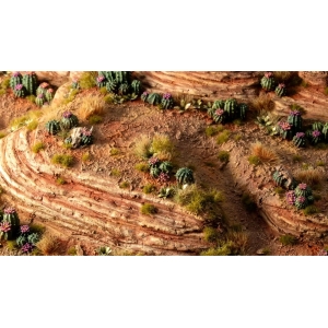 Cactus barils (Barrel Cacti Basing Bits)