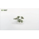 Plantes en Photo Découpe Papier GAMERS GRASS (Bugloss)