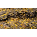 Touffes d'herbe paille tr&egrave;s courtes (1mm)