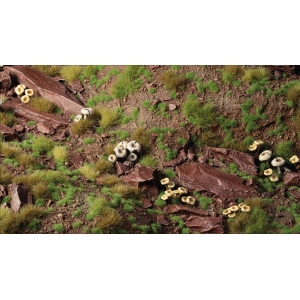 Touffes d'herbe verte tr&egrave;s courte (1mm)