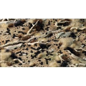 Touffes d'herbe noire tr&egrave;s courte (1mm)