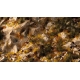 Kit de soclage Rocheux / Automne (Golden Autumn Glade Basing Kit)