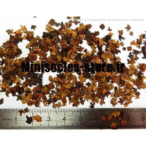 Feuilles d'Automne teint&eacute;es (10mL, Marrons)