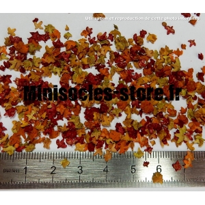 Feuilles d'Automne teint&eacute;es (10mL, Ocres)