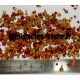 Feuilles d'Automne teintées (10mL, Ocres)