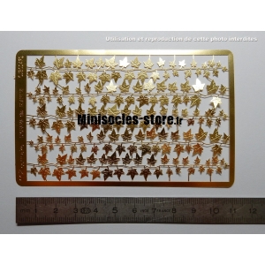 Photo d&eacute;coupe Plantes Grimpantes 1/35