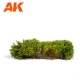 Arbustes 30-40mm Fleurs jaunes