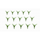 15 Plantes vertes pour toutes échelles