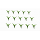 15 Plantes vertes pour toutes échelles