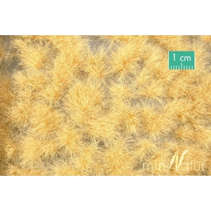 Touffes d'herbe haute beige paille