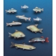 Set de poissons (x10) Echelle 54mm