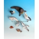Set d'animaux méditerranéens et africains (x9) Echelle 54mm