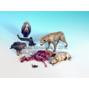 Set d'animaux charognards (x5) Echelle 54mm
