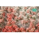 Touffes de fleurs courtes jaunes et blanches