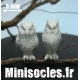 Les petits lapins Grappe 1