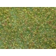 Arbustes 15 mm Fleurs jaune foncé