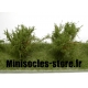 Arbustes 35-45 mm Vert Moyen (x5)