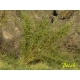 Arbustes 15 mm Fleurs jaune foncé