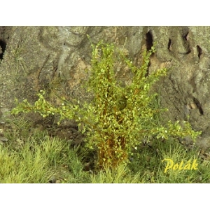 Arbustes 35-45 mm Vert Clair (x5)