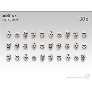 Crânes humains 28-32mm (x30)
