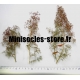 Arbres miniatures (X3)