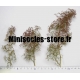 Arbres miniatures (X3)