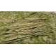 Bambous naturels (x50)