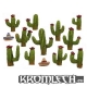 Cactus 28mm (x11)