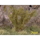 Arbustes 35-45 mm Vert Savane (x5)