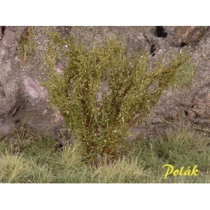 Arbustes 35-45 mm Vert Savane (x5)