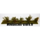 Arbustes 35-45 mm Vert Savane (x5)