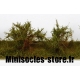 Arbustes 35-45 mm Vert Savane (x5)