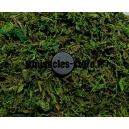 Assortiment de mousses