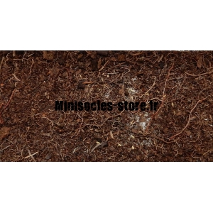 Flocage Sol Forestier