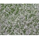 Fleurs des prés Blanc et Violet Clair MINISOCLES