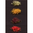 Set Fleurs 4 couleurs MINISOCLES