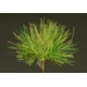 Set de 44 Touffes d'herbe Vert Clair