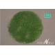 Herbe statique courte, 